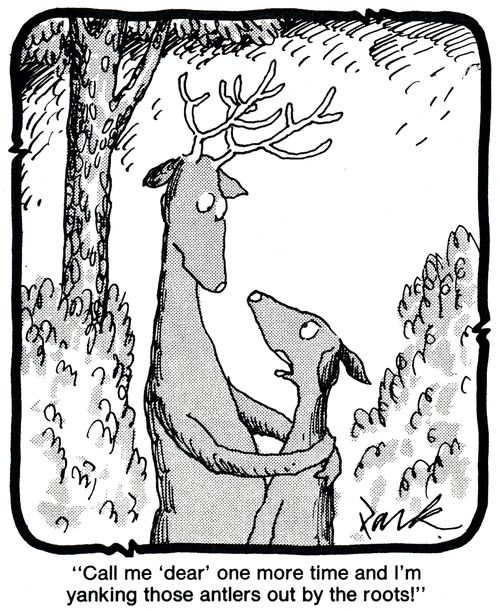 'Call me 'dear' one more time and I'm yanking those antlers out by the roots'