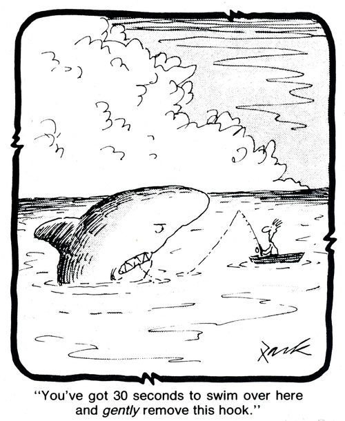 'You've got 30 seconds to swim over here and gently remove this hook.'