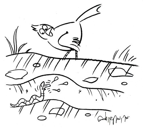 Bird and Worm.