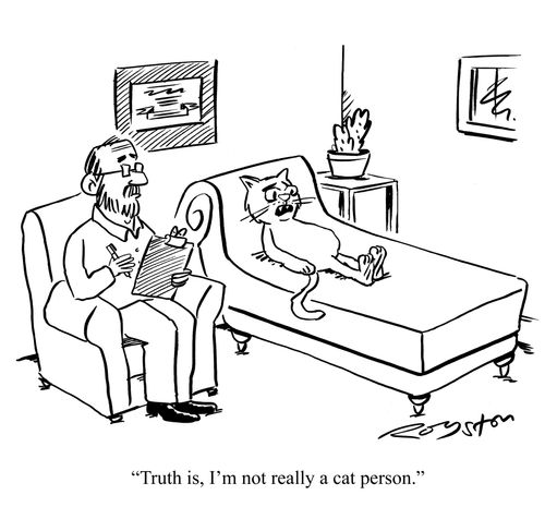 Cat on a psychiatrist's couch: 'Truth is, I'm not really a cat person.'