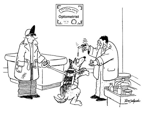 Optometrist.