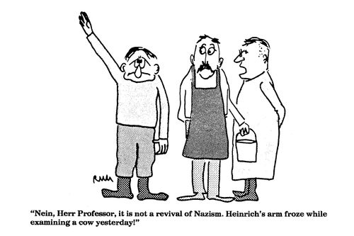 'Nein, Herr Professor, it is not a revival of Nazism....