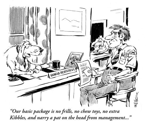 'Our basic package is no frills, no chew toys, no extra Kibbles, and narry a pat on the head from management...'