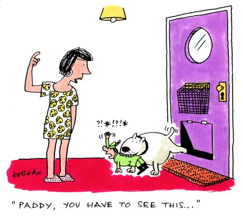 'Paddy, you have to see this...'