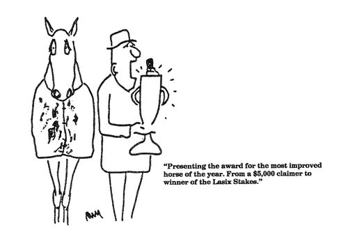 'Presenting the award for the most improved horse of the year....'