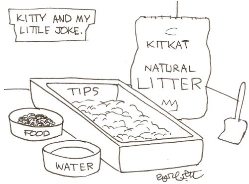 Kitty and my little joke: 'Food, water, litterbox (TIPS)