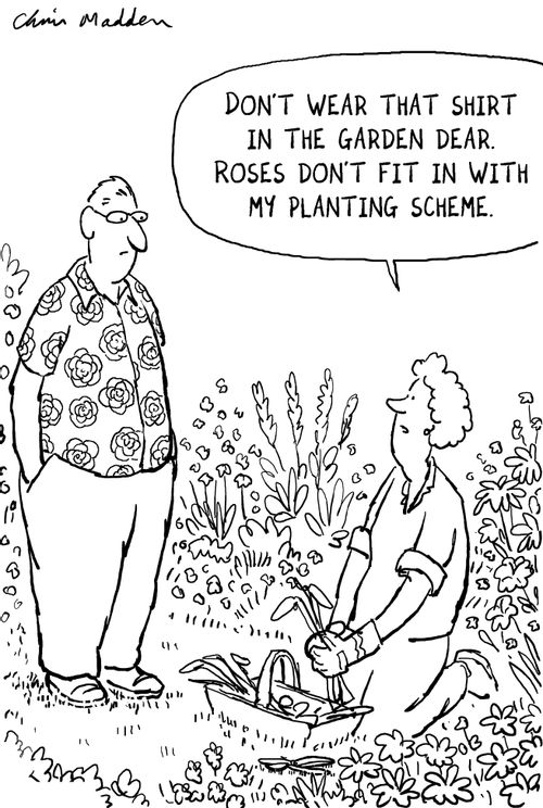 'Don't wear that shirt in the garden dear. Roses don't fit in with my planting scheme'