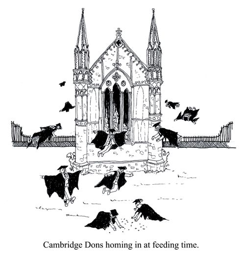 Cambridge Dons homing in at feeding time.