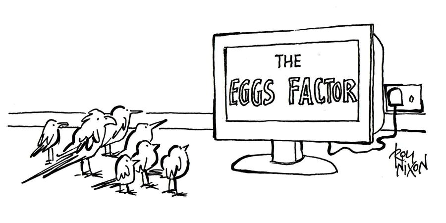 TV programme - The Eggs Factor
