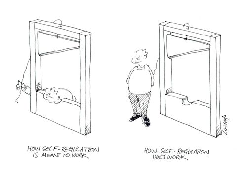 How self-regulation is meant to work and how it does work.