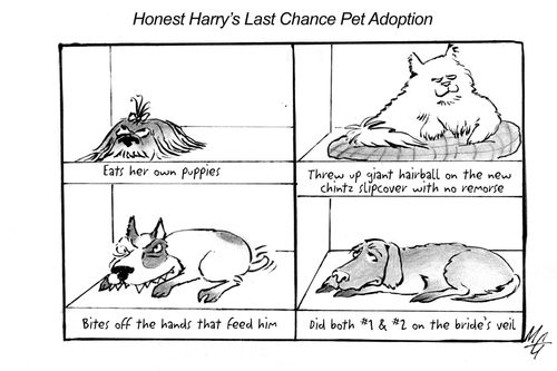 Honest Harry's Last Chance Pet Adoption...