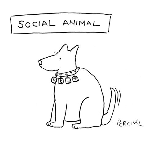 Social Animal.
