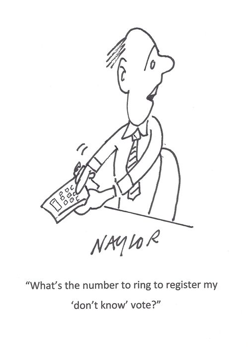 'What's the number to ring to register my 'don't know' vote?'