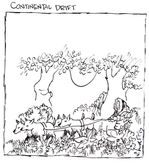 Continental drift - an Eskimo in the jungle.