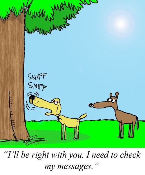 'I'll be right with you. I need to check my messages.'