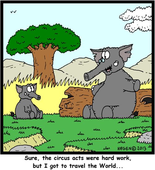 'Sure, the circus acts were hard work, but I got to travel the World...'