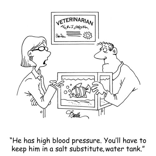 'He has high blood pressure. You'll have to keep him in a salt substitute, water tank.'