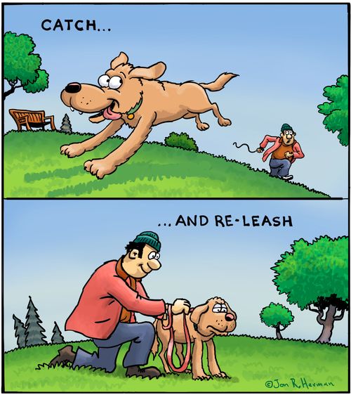 Catch and Re-Leash.