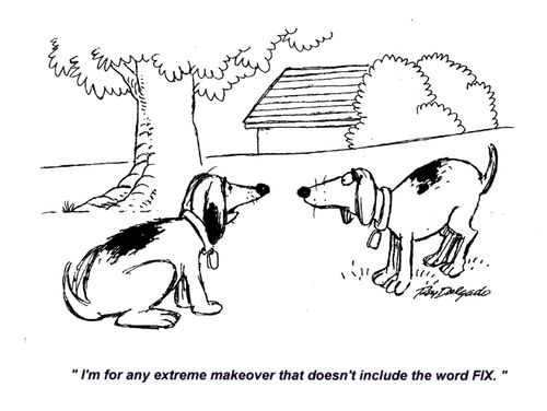 'I'm for any extreme makeover that doesn't include the word FIX.'