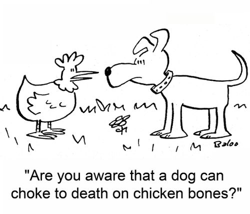 'Are you aware that a dog can choke to death on chicken bones?'