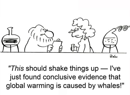 'This should shake things up -- I've just found conclusive evidence that global warming is caused by whales!'