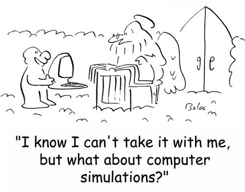 'I know I can't take it with me, but what about computer simulations?'