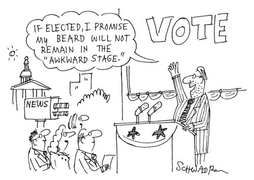 If elected, I promise my beard will not remain in the awkward stage