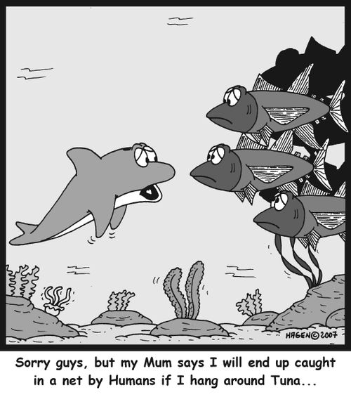 Sorry guys, but my Mum says I will end up caught in a net by Humans if I hang around Tuna...'