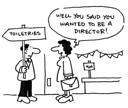 'Well you said you wanted to be a director!'