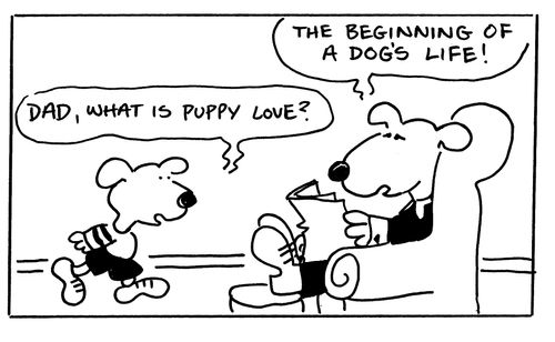 Dad, what is puppy love? The beginning of a dog's life!