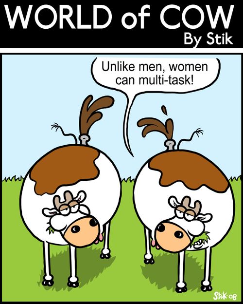 'Unlike men, women can multi-task!'