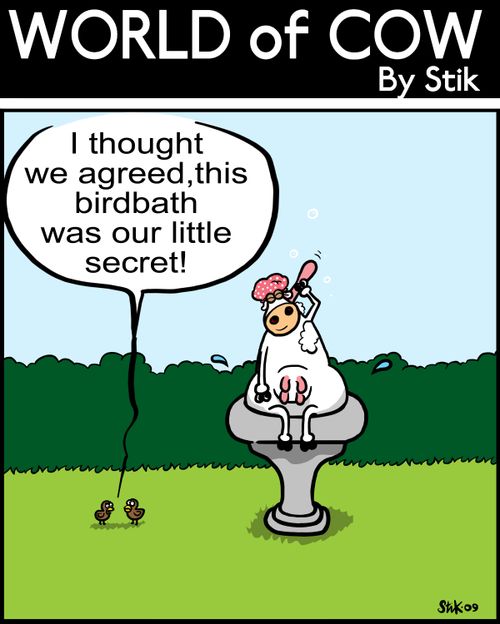 I thought we agreed, this birdbath was our little secret!