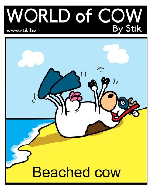 Beached cow.