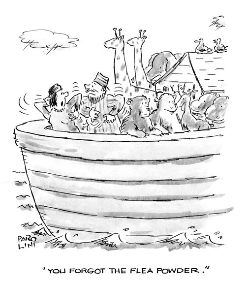 'You forgot the flea powder.'