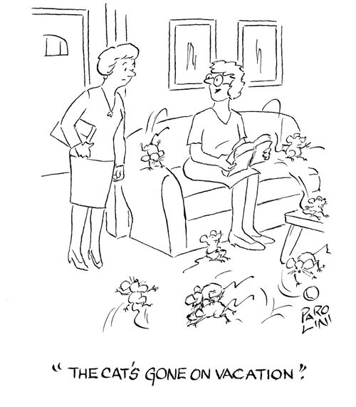'The cat's gone on vacation.'