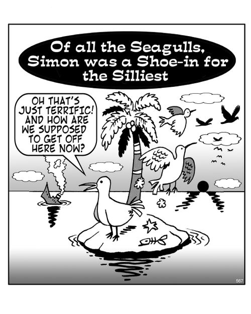 Of all the seagulls, Simon was a shoe-in for the silliest...Oh that's just terrific. And how are we supposed to get off here now?