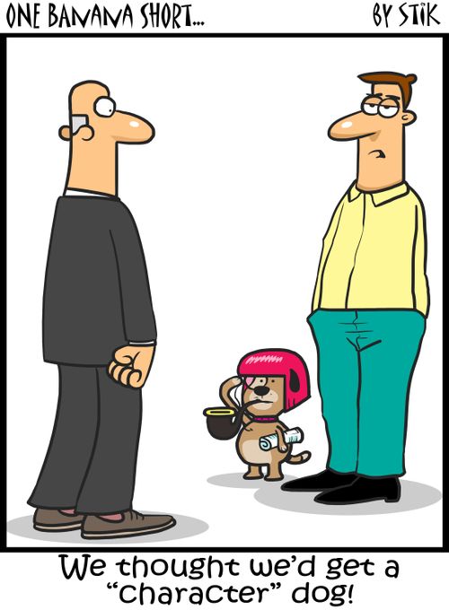 'We thought we'd get a 'character' dog!'