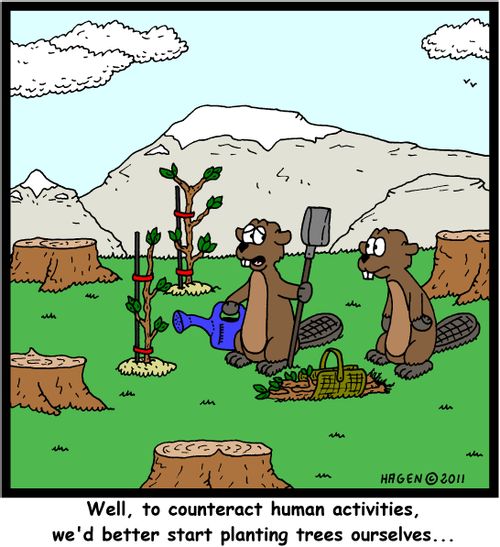 'Well, to counteract human activities, we'd better start planting trees ourselves...'