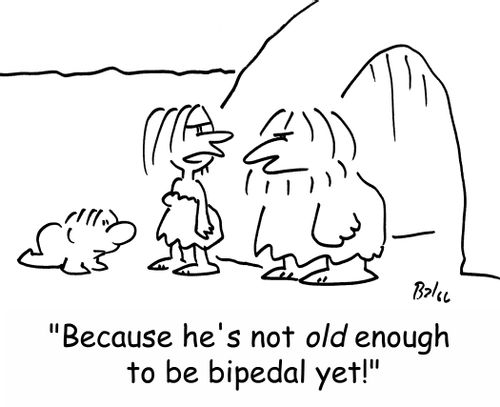 'Because he's not OLD enough to be bipedal yet!'