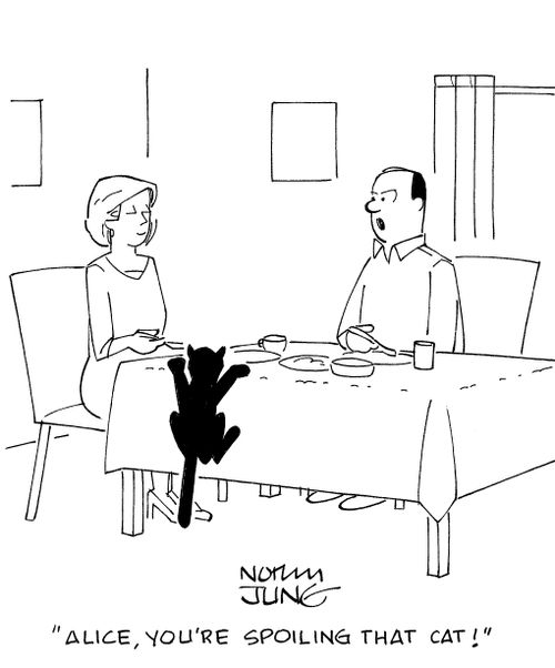 'Alice, you're spoiling that cat!'
