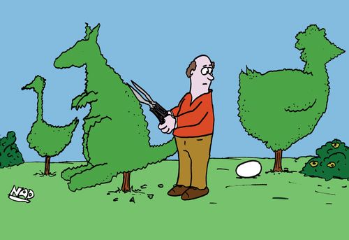 Topiary chicken lays an egg.