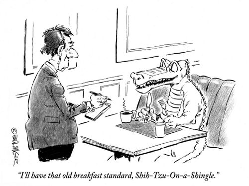 'I'll have that old breakfast standard, Shih-Tzu-On-a-Shingle.'