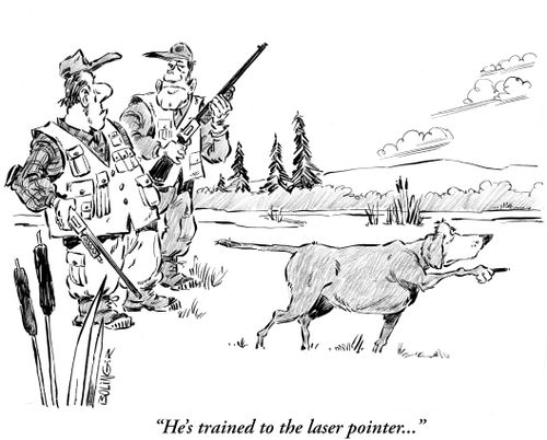 'He's trained to the laser pointer.'