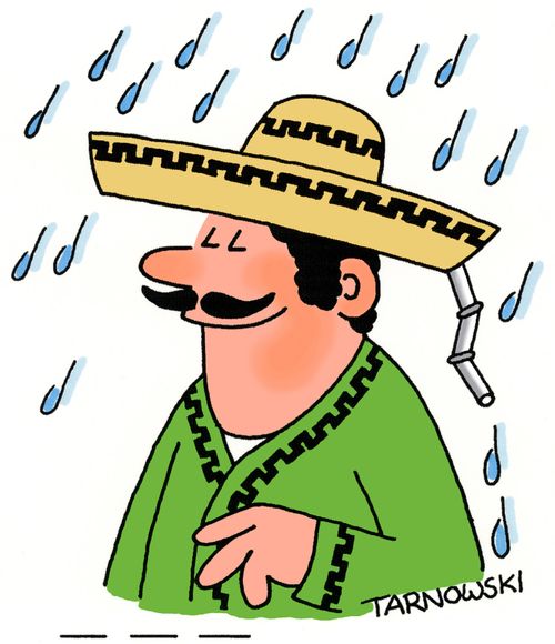 Drainpipe in a sombrero.