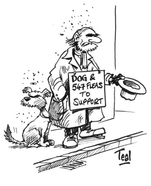 'Dog and 547 fleas to support.'