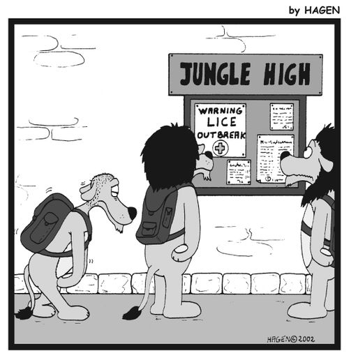 Lice outbreak at Jungle High (lion with a shaved head).