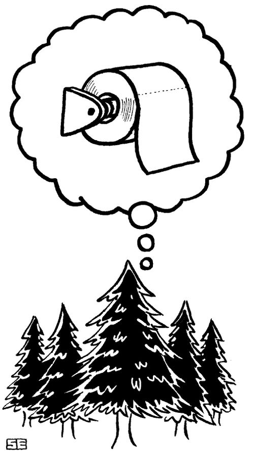 Rainforests as Toilet Paper