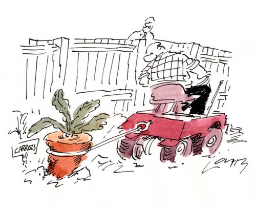 Pulling out Giant Carrot