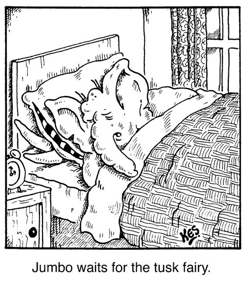'Jumbo waits for the tusk fairy'