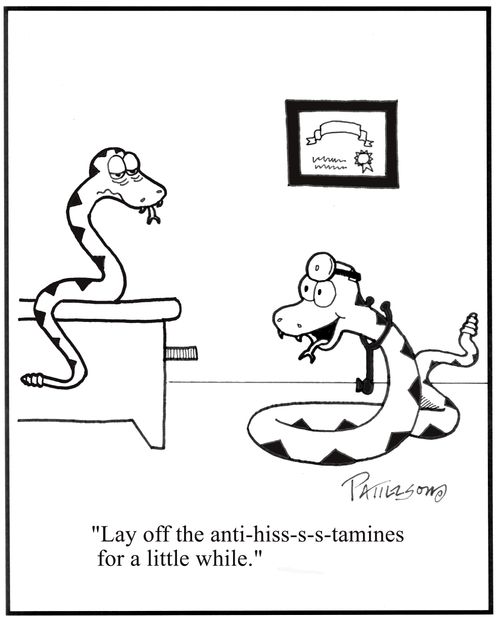 'Lay off the anti-hiss-s-tamines.'